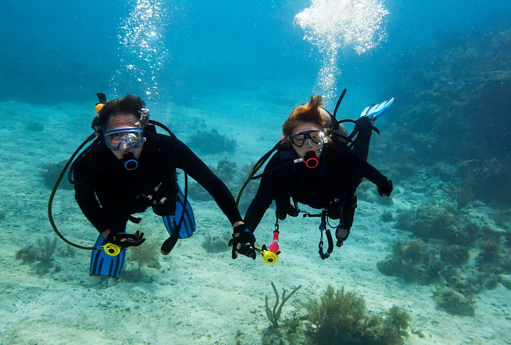 plongée sous marine