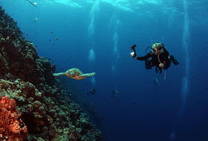 plongée sous marine